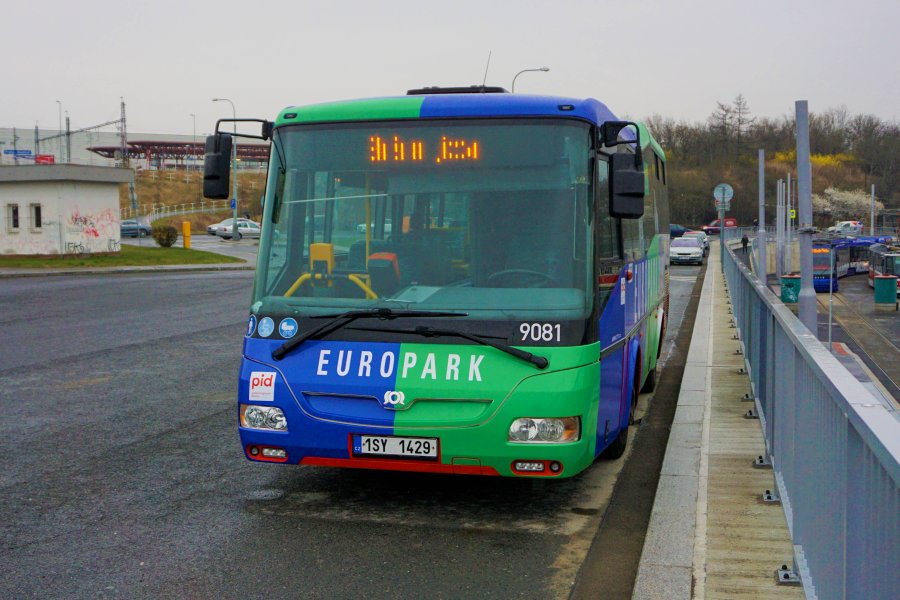 9081